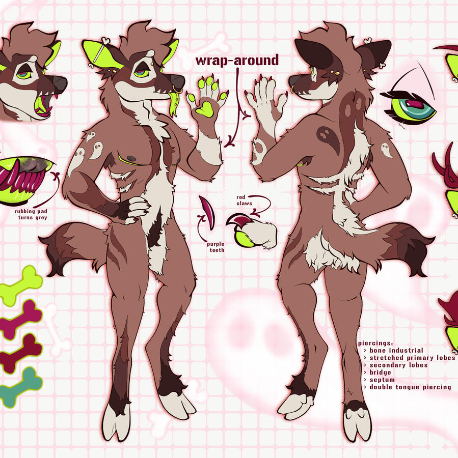 Reference Sheet