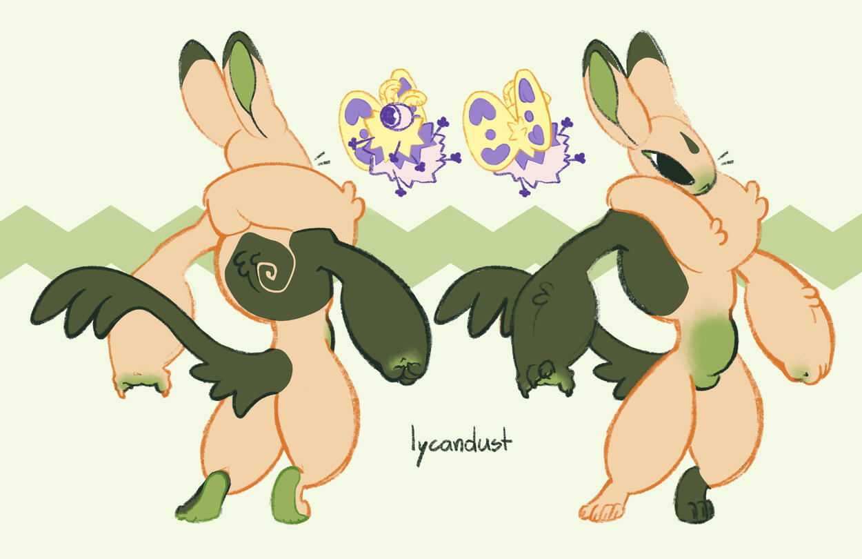 Lined ref sheet + accessories